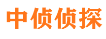 西岗侦探公司